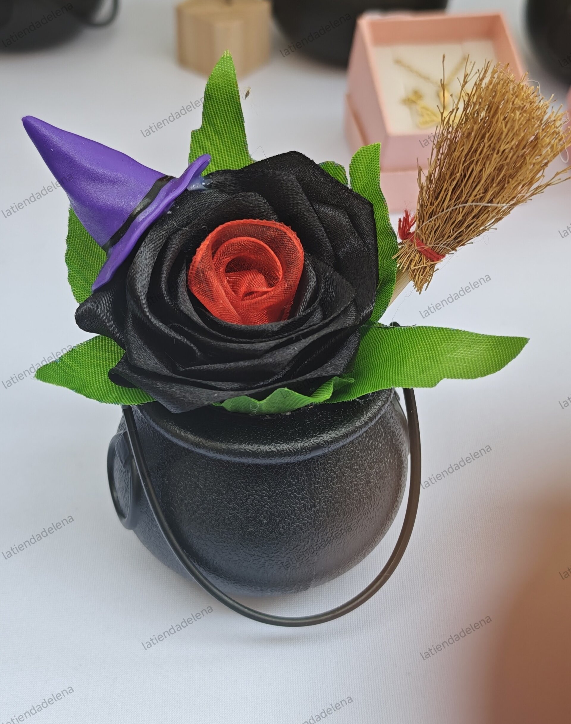Rosas de las Brujas - 2
