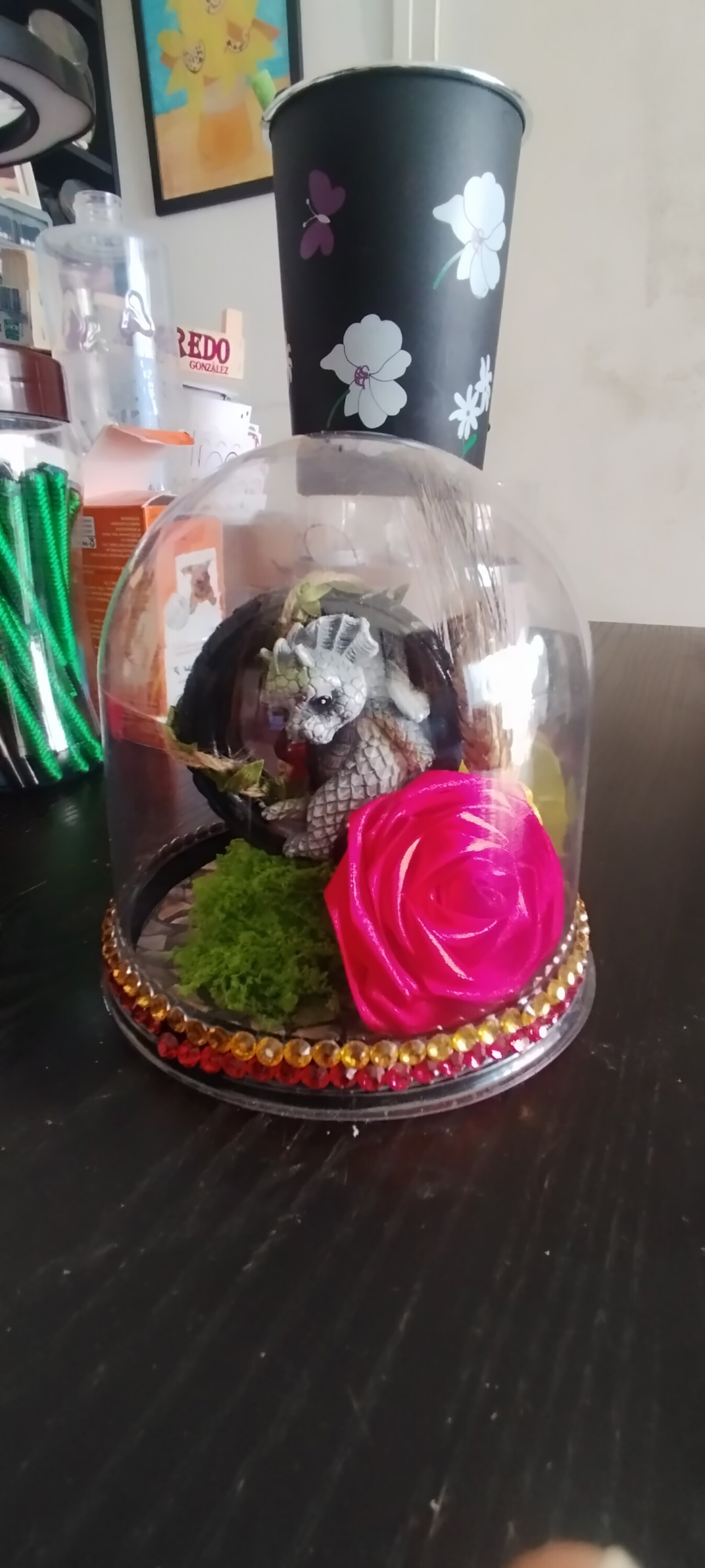 Cupula dragón rueda - 1